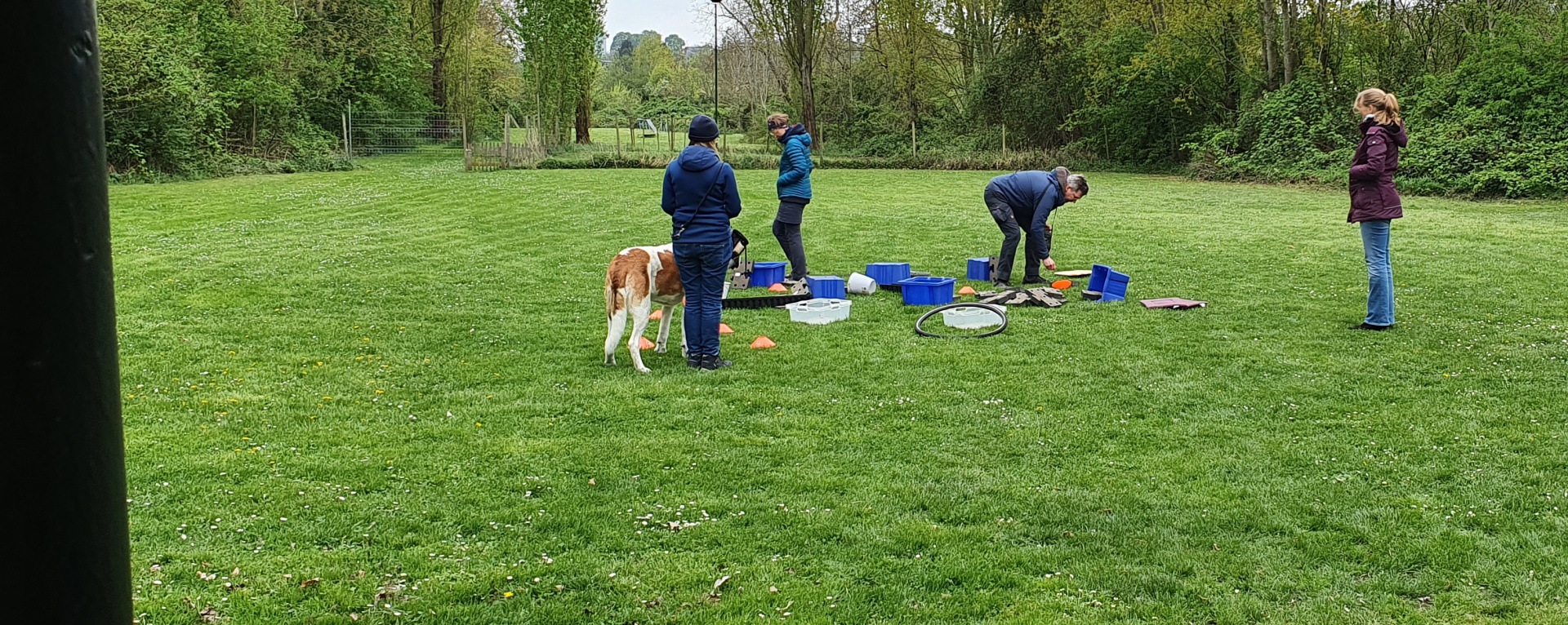 Foto:Selbstwirksamkeit und Wohlbefinden Deines Hundes stärken = Enrichment 