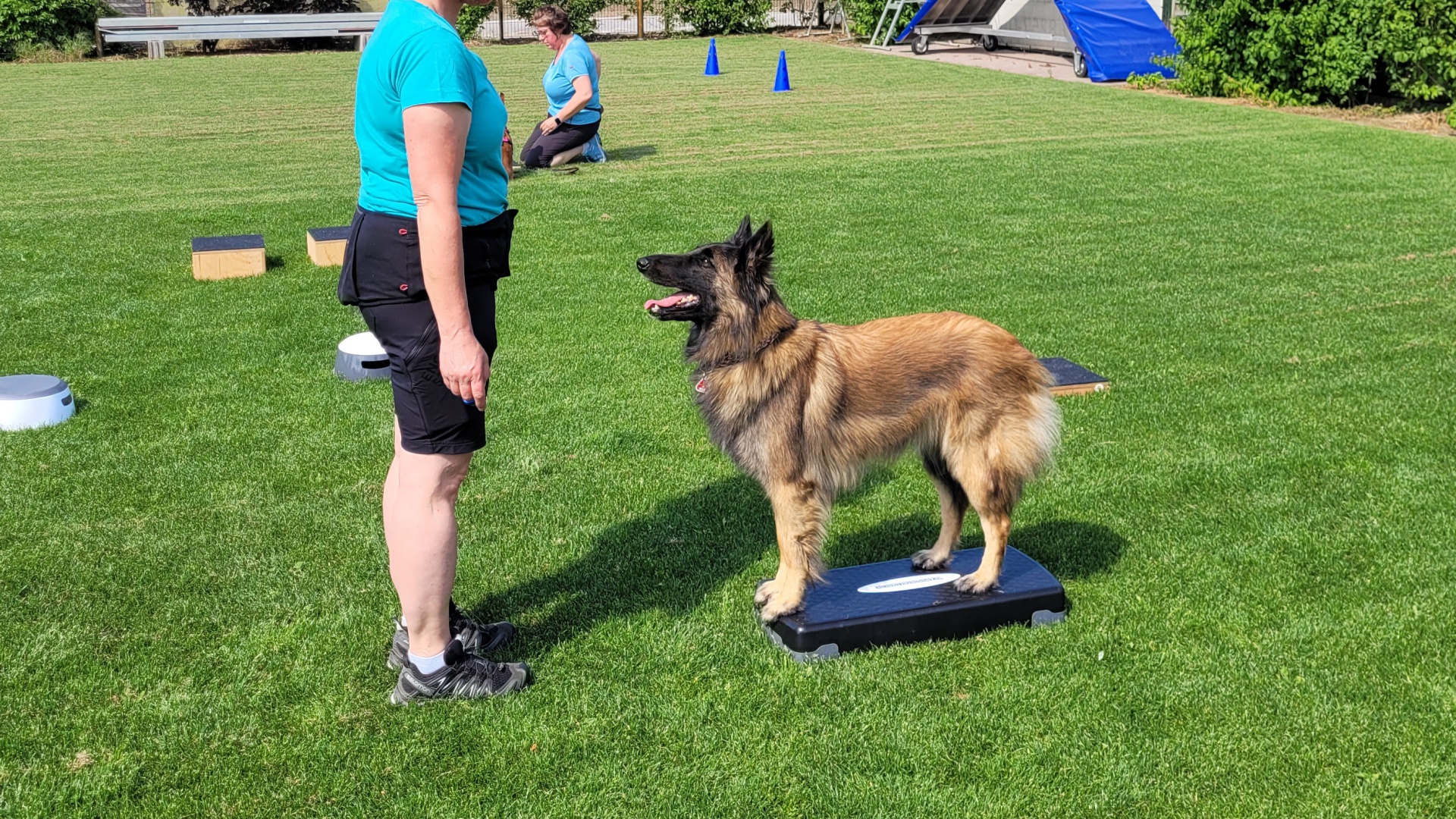 Foto:Hundeschule: KOOPERATIVES Training