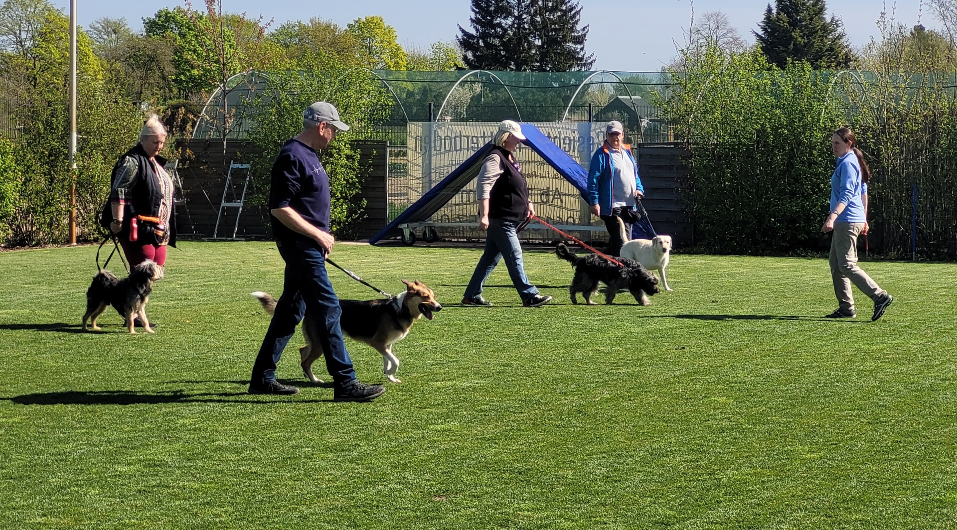 Foto:Hundeschule: Training | Erziehung