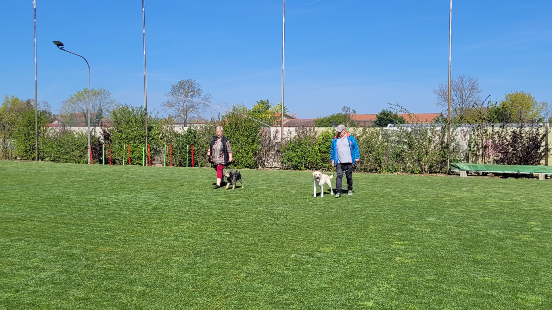 Foto:Hundeschule: SENSIBLE Hunde 