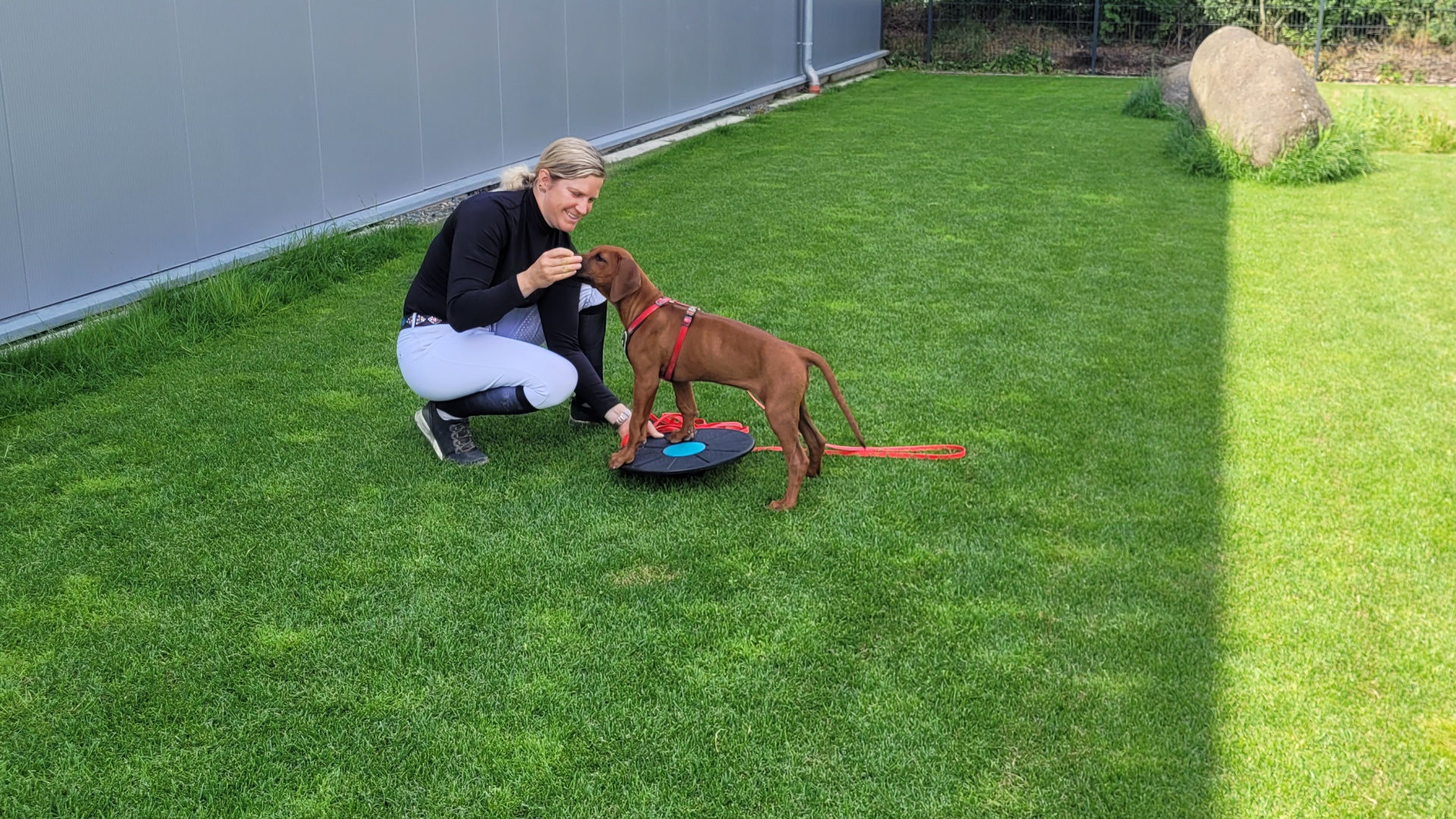 Foto:Markerwort | Klicker