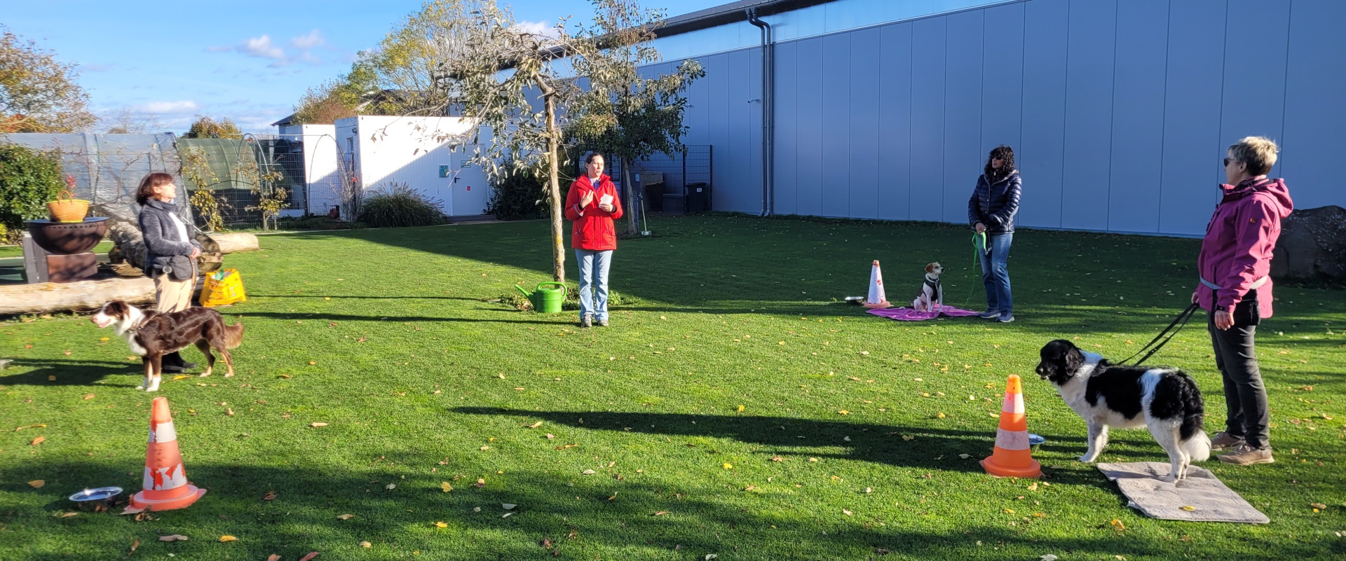 Foto:Hundeschule: LEINENführigkeit