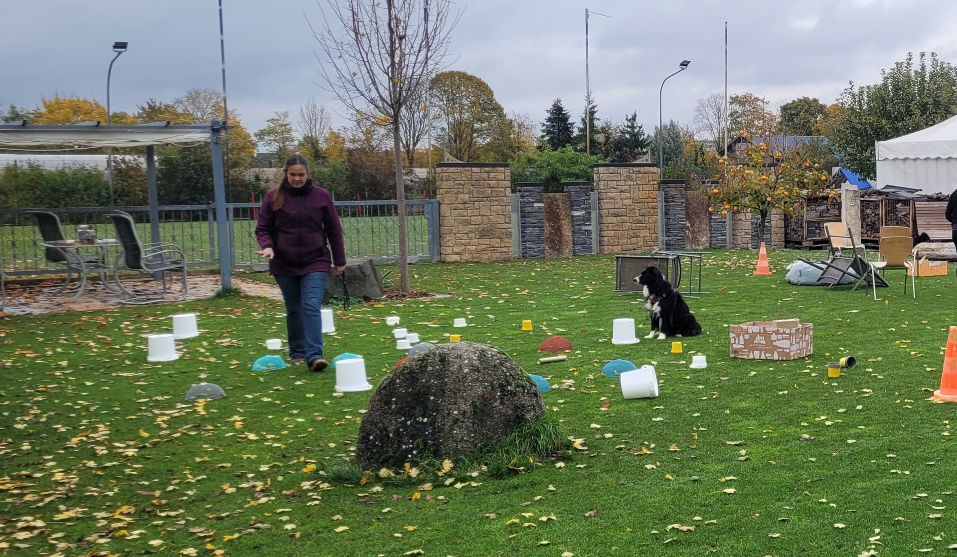 Foto:Hundeschule: Beschäftigung | Mentales