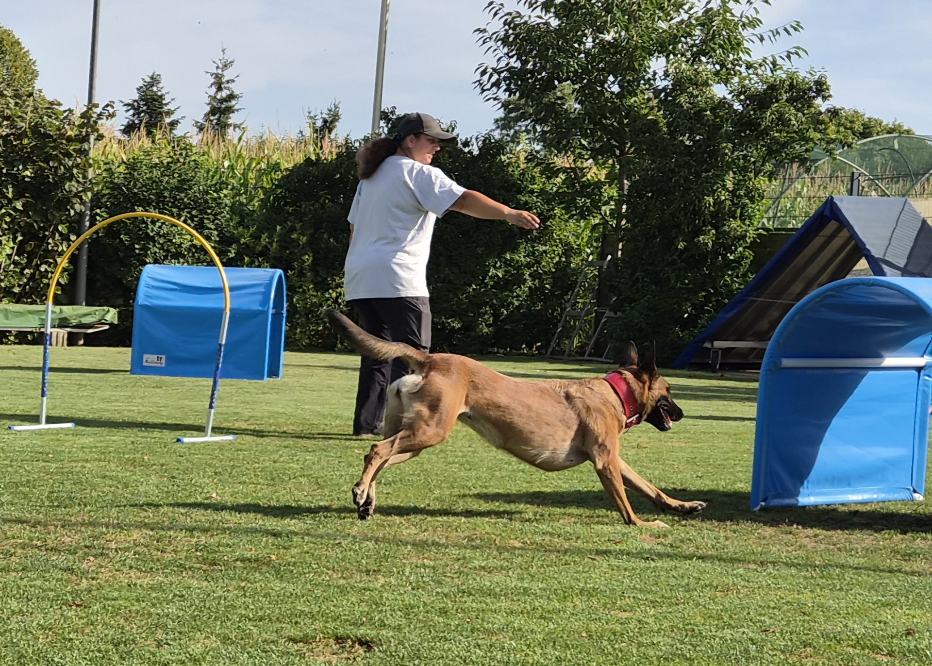 Foto:HOOPERS - Schnupperstunde