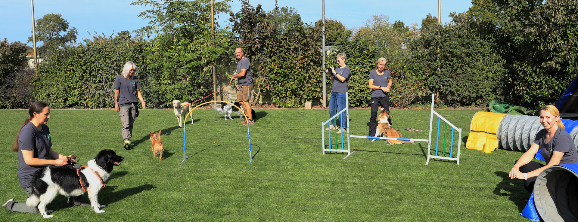 Foto:Deine Hundeschule