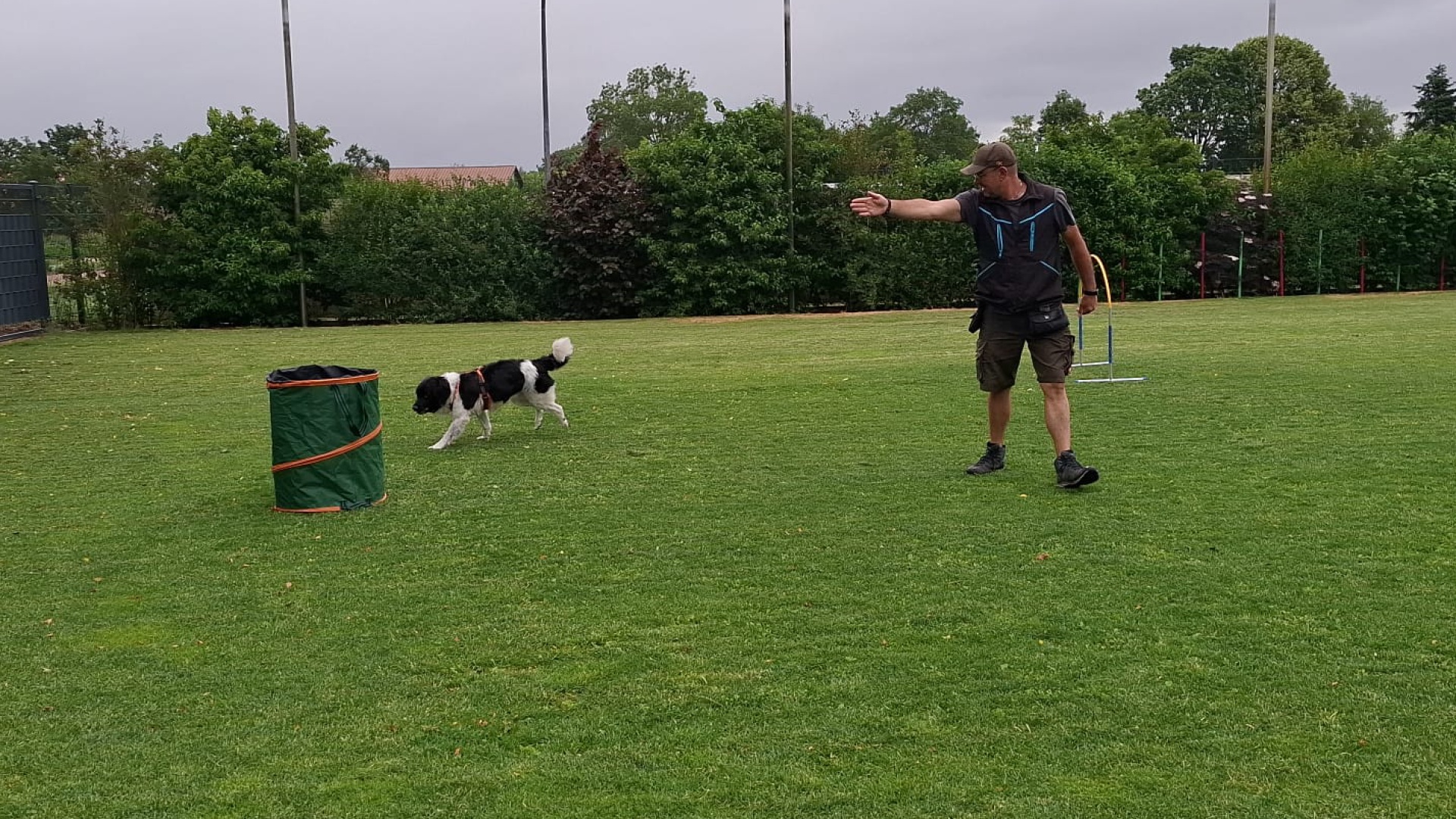 Foto:Agility | Hoopers: HOOPERS - Sport und Spaß
