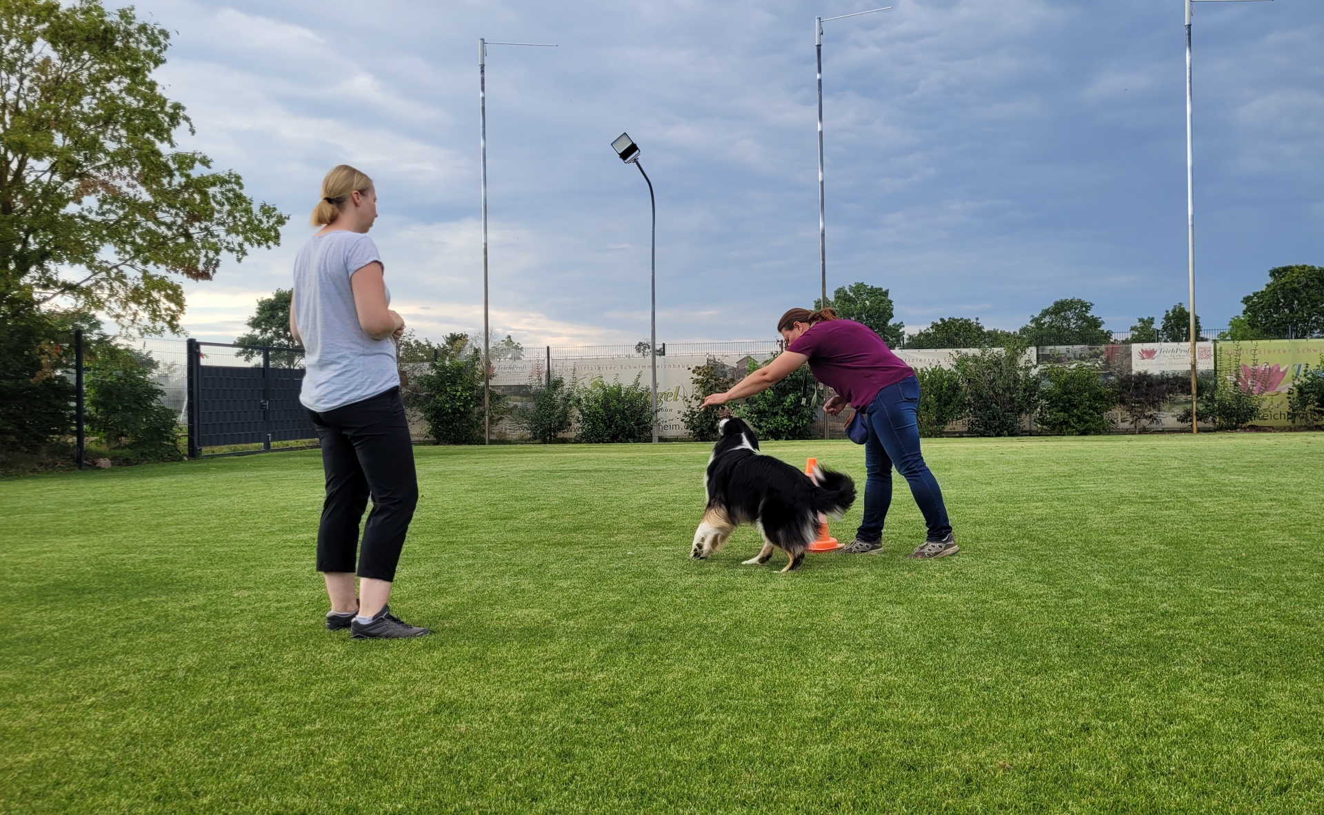 Foto:Hundeschule: Einzeltraining