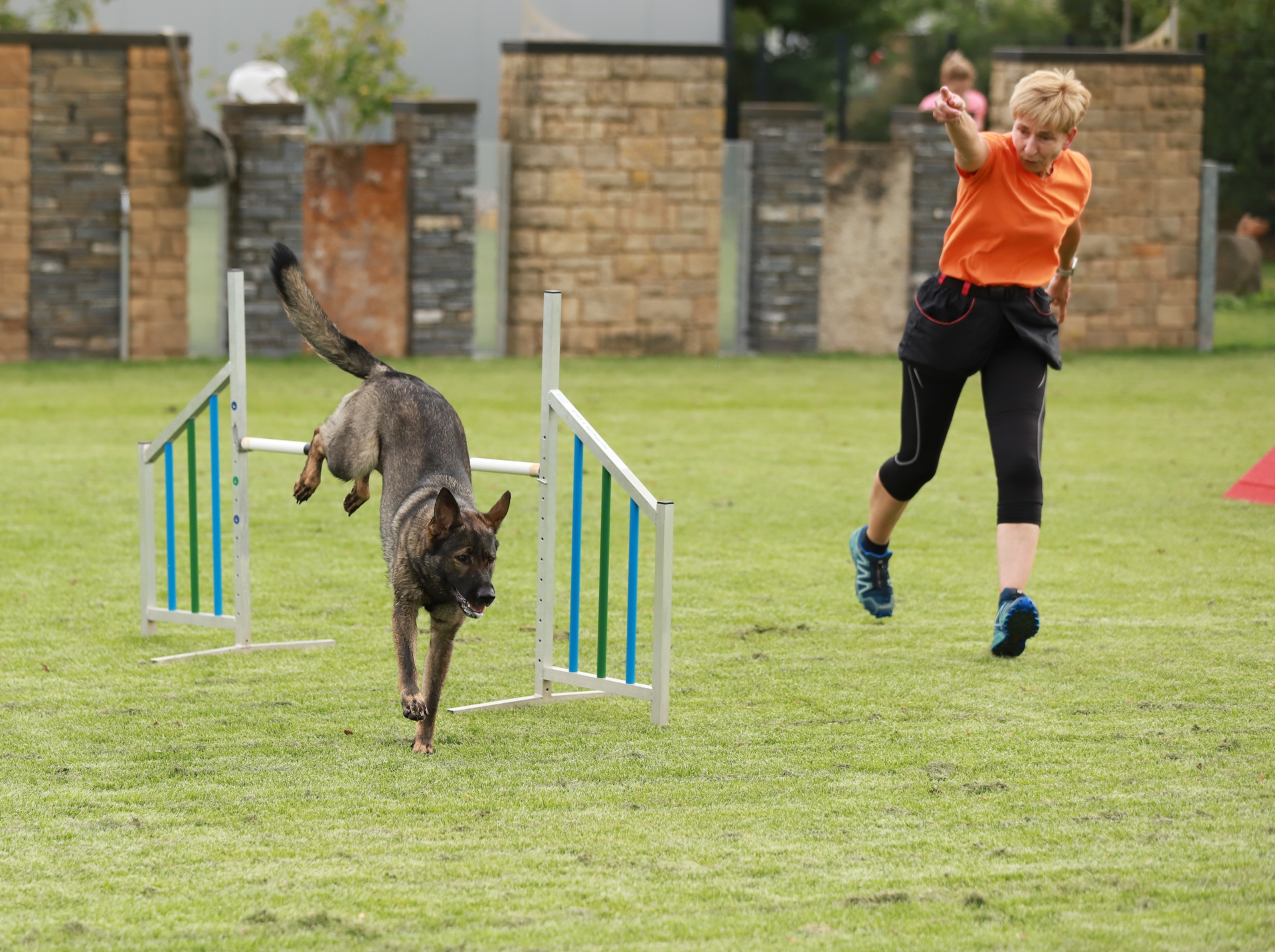 Foto:Agility: Turniersport A0-A3