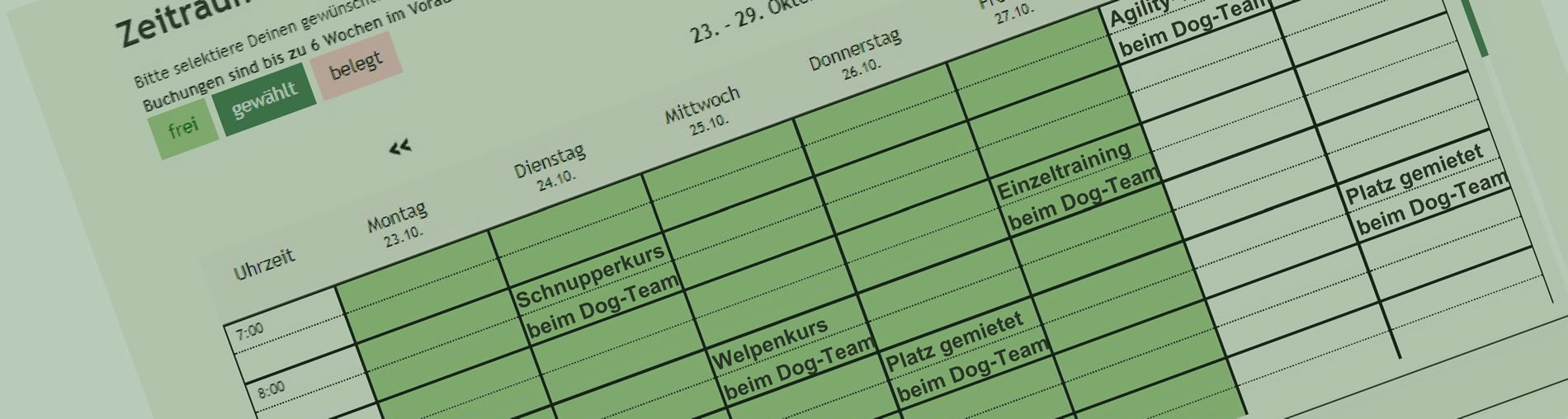 Foto:alle Termine